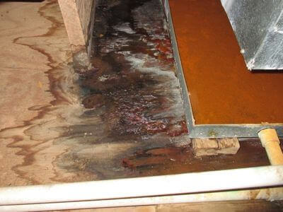 About CleanCrest Team - water damage restoration experts in Pico Rivera